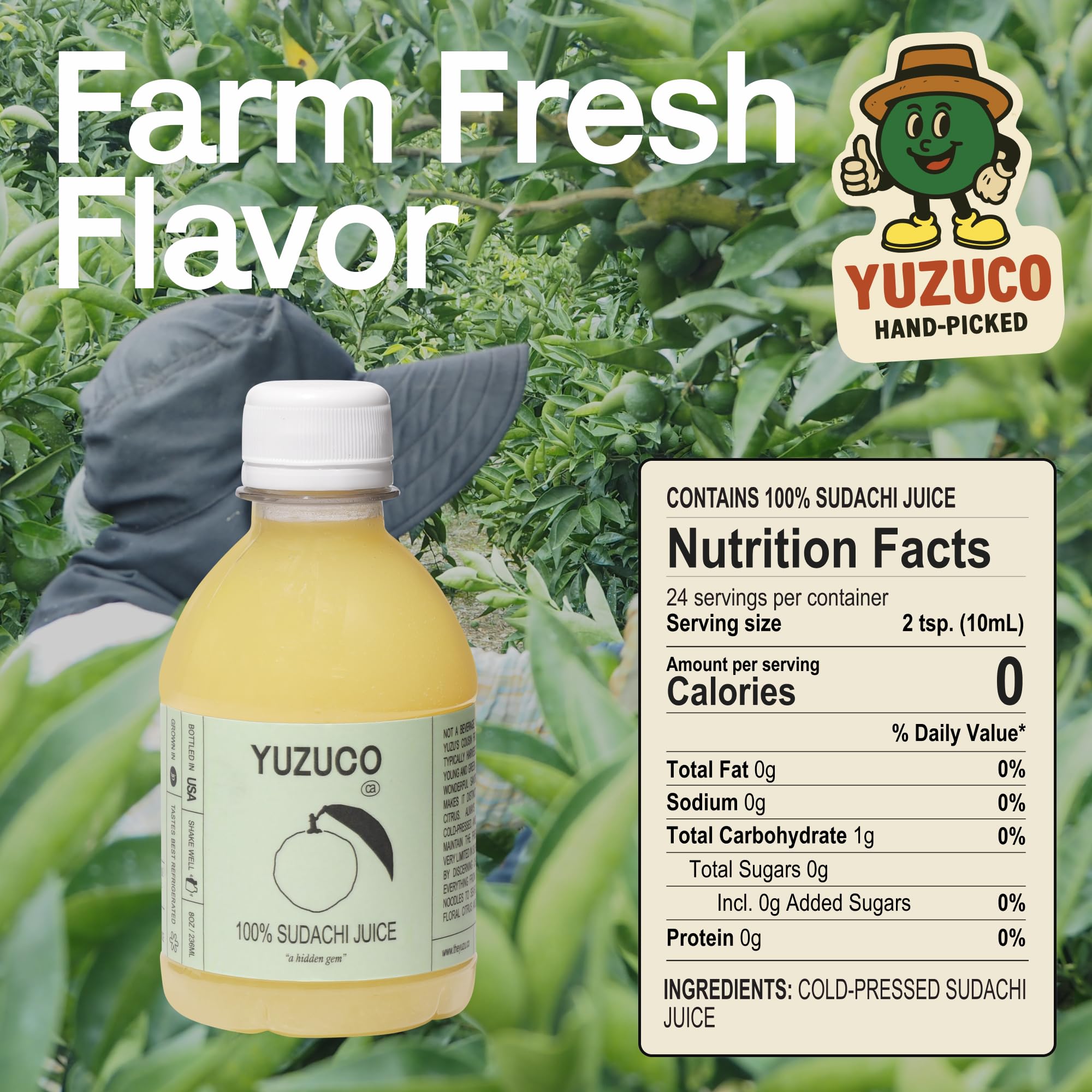 Amazon.com : YUZUCO - 100% Cold-Pressed Juice - 8.4oz Premium